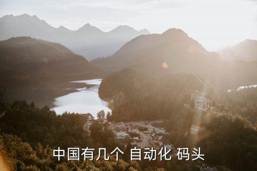 中國有幾個(gè) 自動化 碼頭