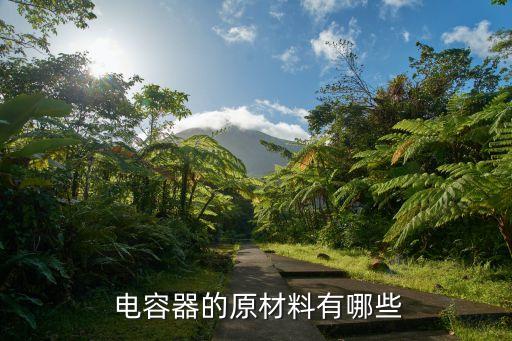  電容器的原材料有哪些