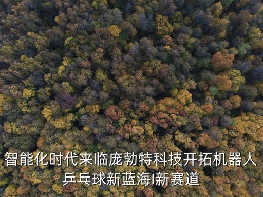 兵乓球機(jī)器人,智能乒乓球撿球機(jī)器人市場(chǎng)前景很好