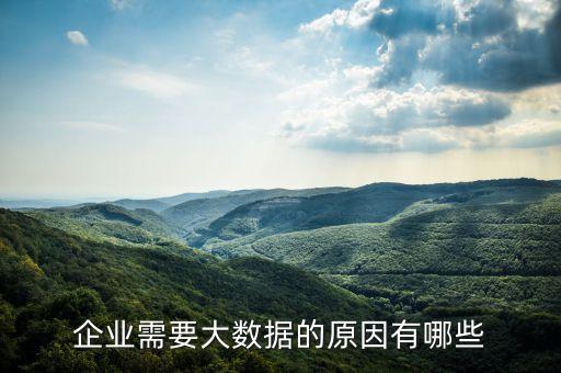 企業(yè)需要大數(shù)據(jù)的原因有哪些
