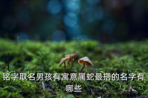 銘字取名男孩有寓意屬蛇最搭的名字有哪些