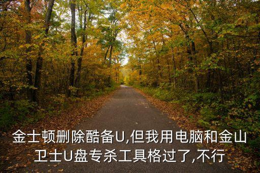金士頓刪除酷備U,但我用電腦和金山衛(wèi)士U盤專殺工具格過了,不行