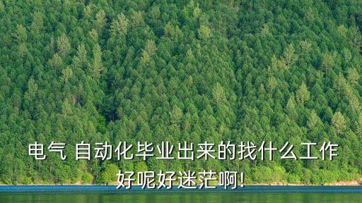  電氣 自動(dòng)化畢業(yè)出來的找什么工作好呢好迷茫啊!