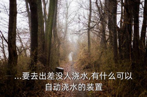 ...要去出差沒人澆水,有什么可以自動澆水的裝置
