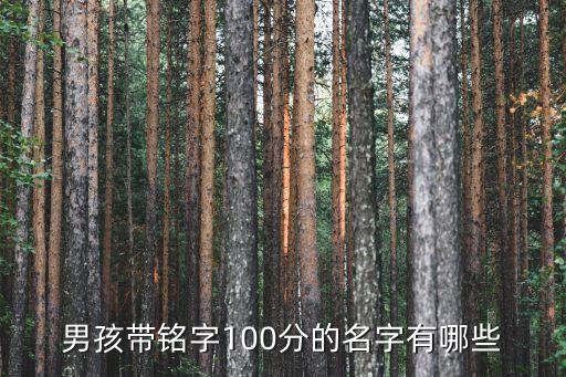 煙臺(tái)銘躍自動(dòng)化設(shè)備,躍華華:可取躍華使用意思是精英!