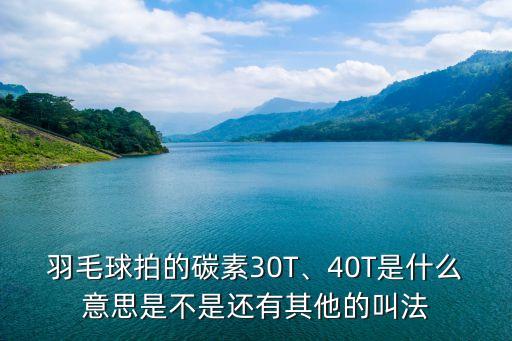 羽毛球拍的碳素30T、40T是什么意思是不是還有其他的叫法