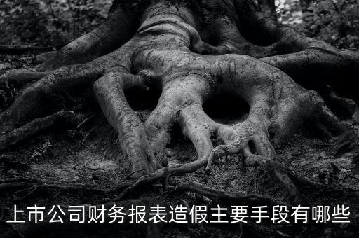 如何造假市場分析數(shù)據(jù),大數(shù)據(jù)分析如何去偽存真?