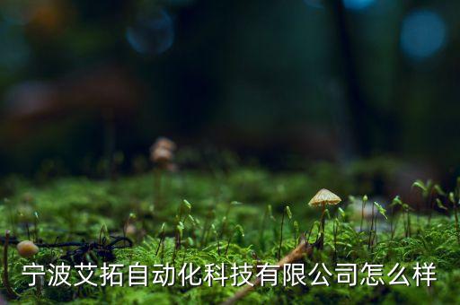 寧波艾拓自動化科技有限公司怎么樣