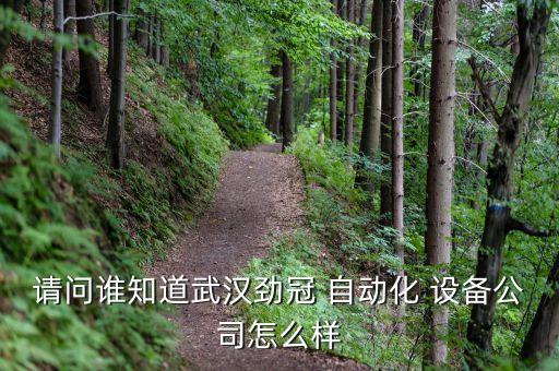 請問誰知道武漢勁冠 自動化 設(shè)備公司怎么樣