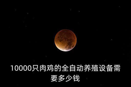 10000只肉雞的全自動(dòng)養(yǎng)殖設(shè)備需要多少錢