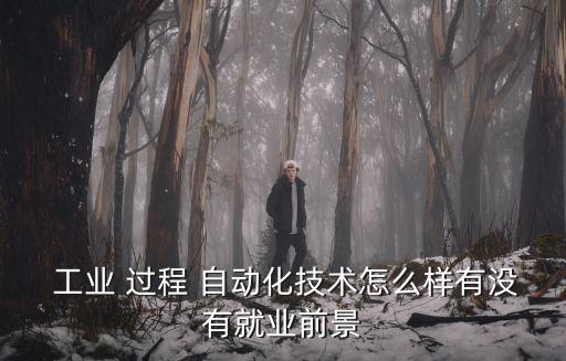  工業(yè) 過程 自動化技術(shù)怎么樣有沒有就業(yè)前景