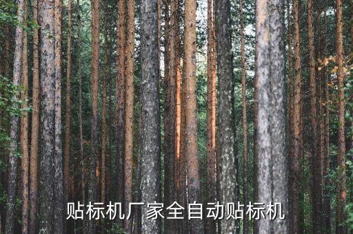 貼標(biāo)機(jī)廠家全自動貼標(biāo)機(jī)