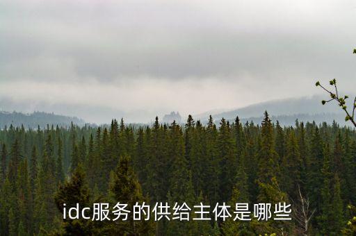 南京數(shù)據(jù)中心托管服務器,什么是服務器托管?