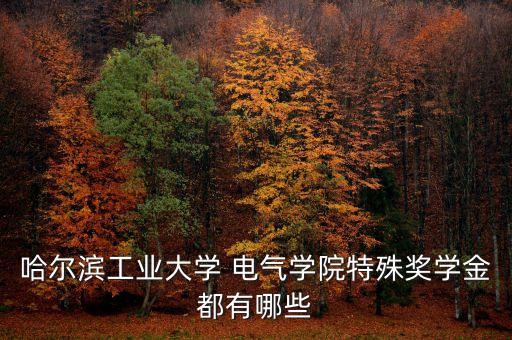 電氣自動(dòng)化有什么獎(jiǎng)項(xiàng)