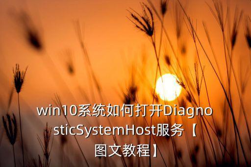 win10系統(tǒng)如何打開DiagnosticSystemHost服務(wù)【圖文教程】