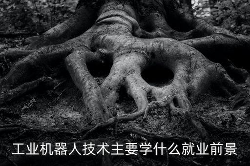 工業(yè)機器人技術(shù)主要學什么就業(yè)前景