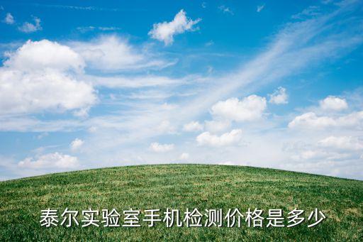  泰爾實驗室手機檢測價格是多少