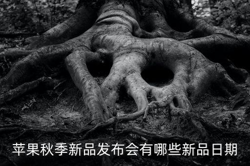 今年新款