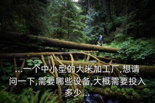 大米種植自動(dòng)化設(shè)備有哪些,自動(dòng)化設(shè)備包括什么?