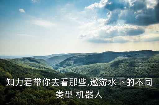哈爾濱海鷹機(jī)器人,中國航天海鷹哈爾濱分院