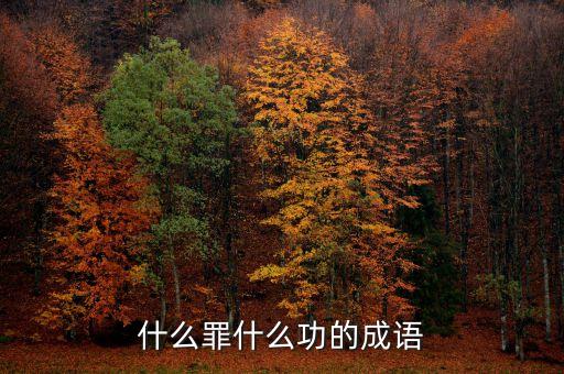 戴罪立功,什么叫做立功立功?