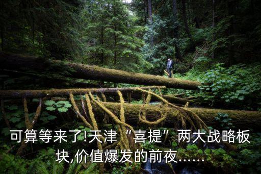 可算等來(lái)了!天津“喜提”兩大戰(zhàn)略板塊,價(jià)值爆發(fā)的前夜……
