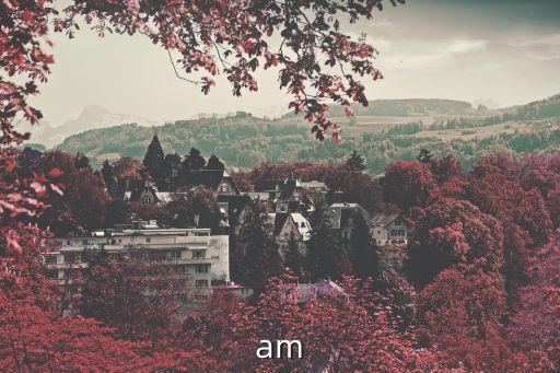 am