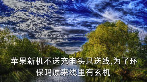  蘋果新機(jī)不送充電頭只送線,為了環(huán)保嗎原來線里有玄機(jī)