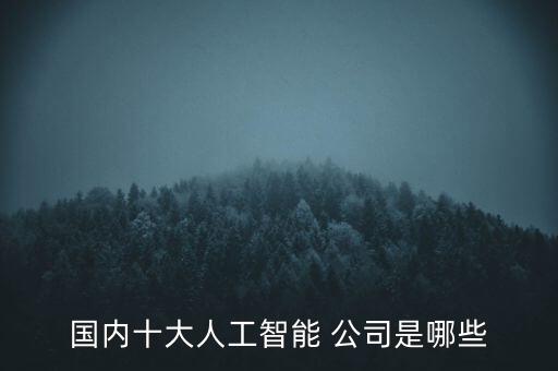 國內(nèi)十大人工智能 公司是哪些