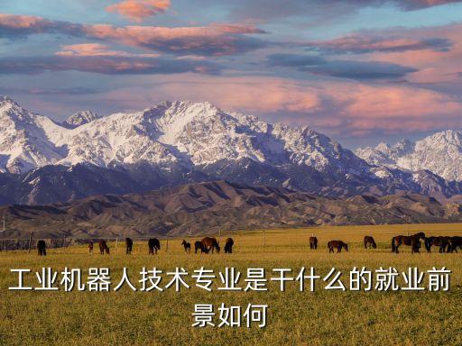 工業(yè)機器人技術(shù)專業(yè)是干什么的就業(yè)前景如何