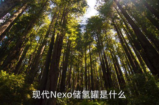 現(xiàn)代Nexo儲(chǔ)氫罐是什么