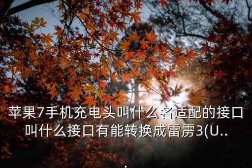 蘋果7手機(jī)充電頭叫什么名適配的接口叫什么接口有能轉(zhuǎn)換成雷靂3(U...
