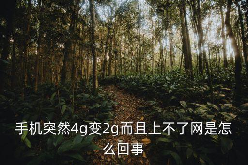 移動數(shù)據(jù)變成2g原因,手機突然變成2g了?四大問題請解答