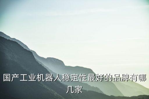 國產(chǎn)工業(yè)機器人穩(wěn)定性最好的品牌有哪幾家