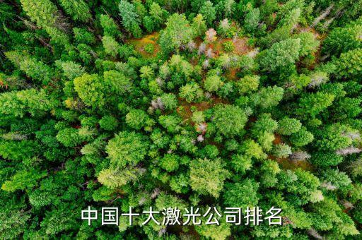 中國十大激光公司排名