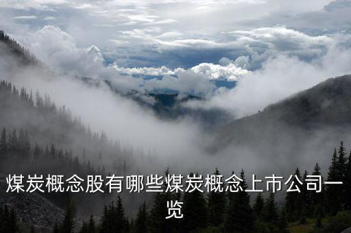 山西煤礦自動(dòng)化上市公司,山西煤礦信息:股價(jià)最高是多少?