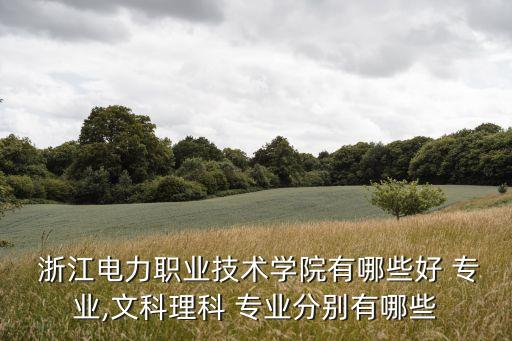  浙江電力職業(yè)技術(shù)學(xué)院有哪些好 專(zhuān)業(yè),文科理科 專(zhuān)業(yè)分別有哪些