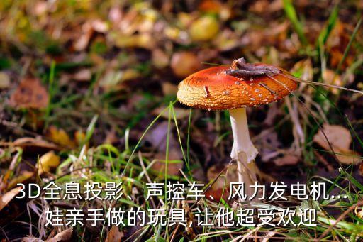 3D全息投影、聲控車、風(fēng)力發(fā)電機(jī)…娃親手做的玩具,讓他超受歡迎