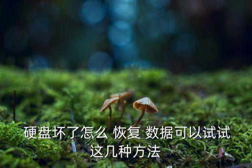  硬盤(pán)壞了怎么 恢復(fù) 數(shù)據(jù)可以試試這幾種方法