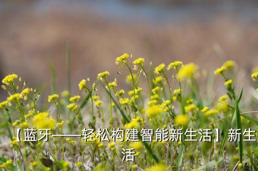 【藍牙――輕松構(gòu)建智能新生活】新生活