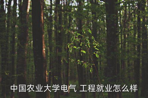 中國農(nóng)業(yè)大學(xué)電氣 工程就業(yè)怎么樣