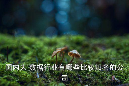 國內(nèi)大 數(shù)據(jù)行業(yè)有哪些比較知名的公司