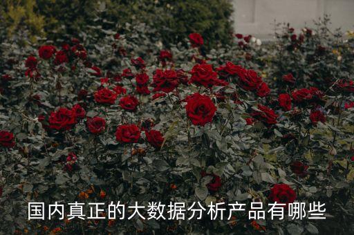 國(guó)內(nèi)真正的大數(shù)據(jù)分析產(chǎn)品有哪些