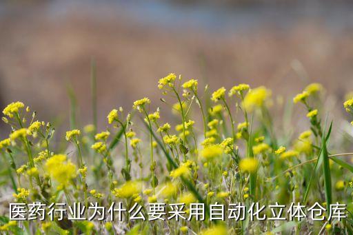 醫(yī)藥行業(yè)為什么要采用自動(dòng)化立體倉(cāng)庫(kù)