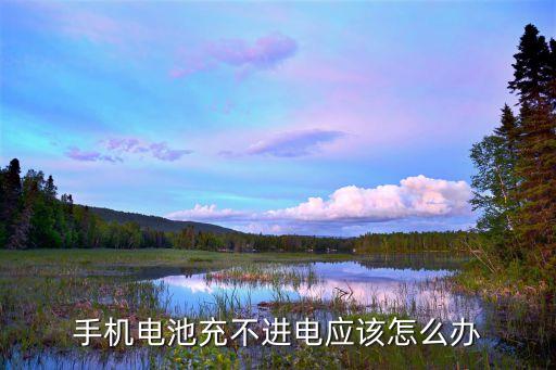 手機(jī)充不進(jìn)去電怎么辦,手機(jī)電池充不進(jìn)去電怎么辦?