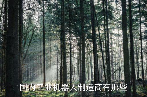 國內(nèi)工業(yè)機(jī)器人制造商有那些