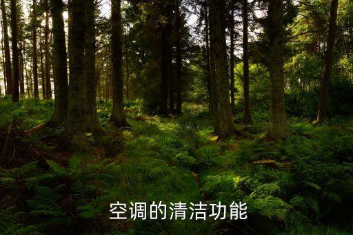  空調(diào)的清潔功能