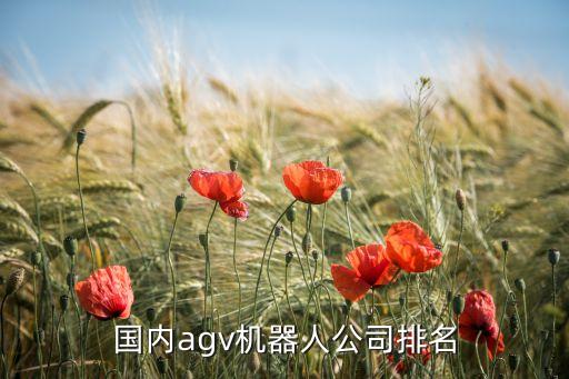 國內(nèi)agv機器人公司排名