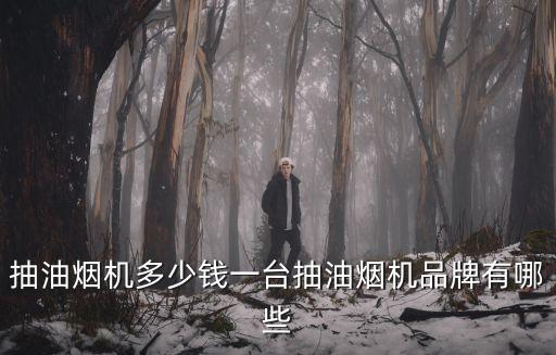 抽油煙機(jī)多少錢一臺(tái)抽油煙機(jī)品牌有哪些
