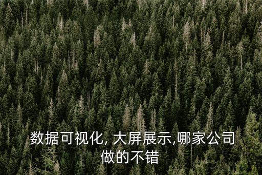  數(shù)據(jù)可視化, 大屏展示,哪家公司做的不錯(cuò)